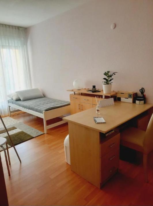Camera Privata Con Balcone Giardino E Piscina Gordola Exterior foto